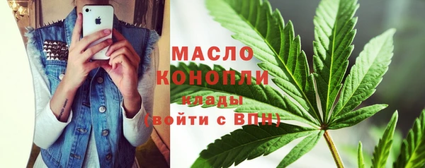 дживик Абаза